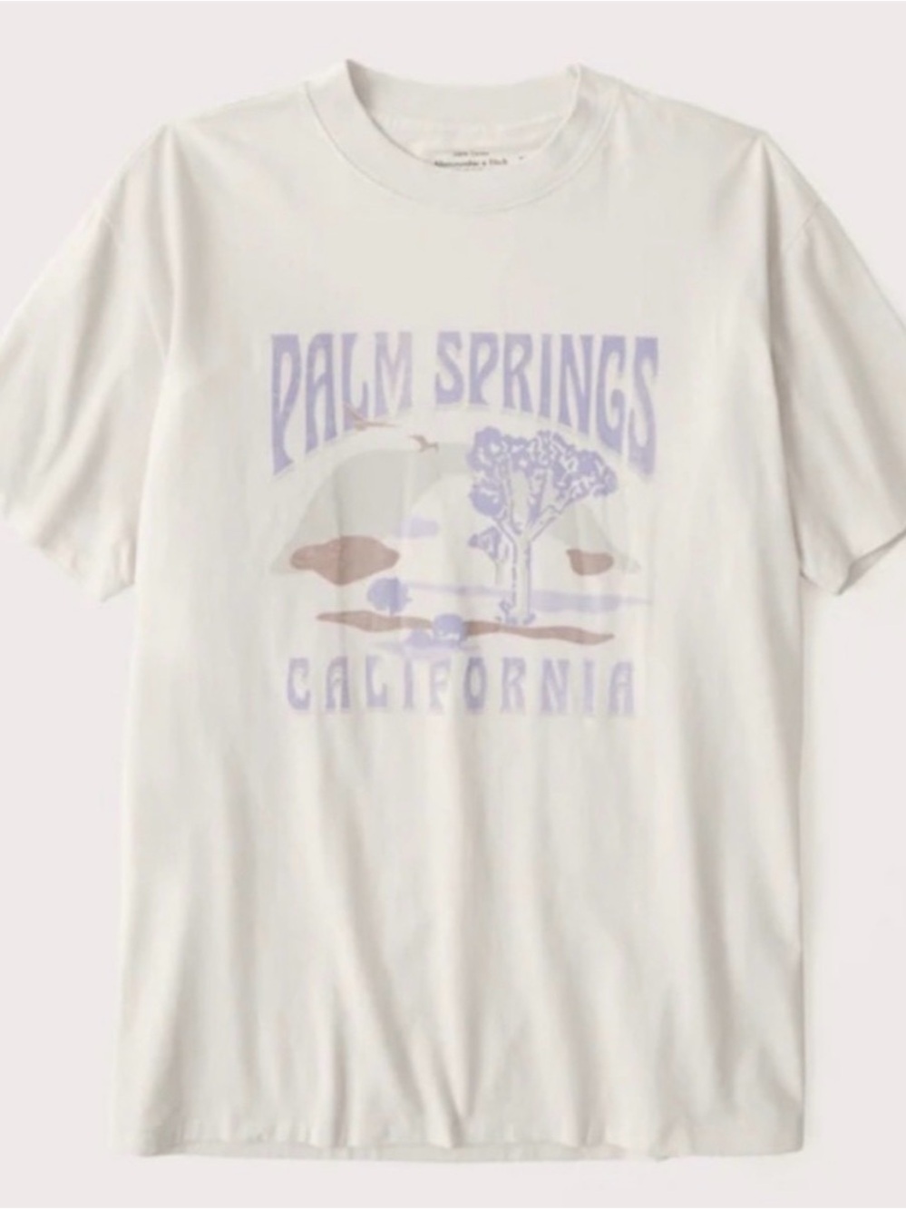 Abercrombie & Fitch Women’s Soft A&F Oversized Graphic “Palm Springs” Tee